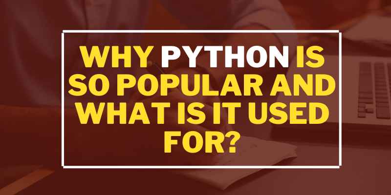 Why is Python Popular?